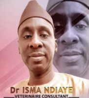 Isma NDIAYE